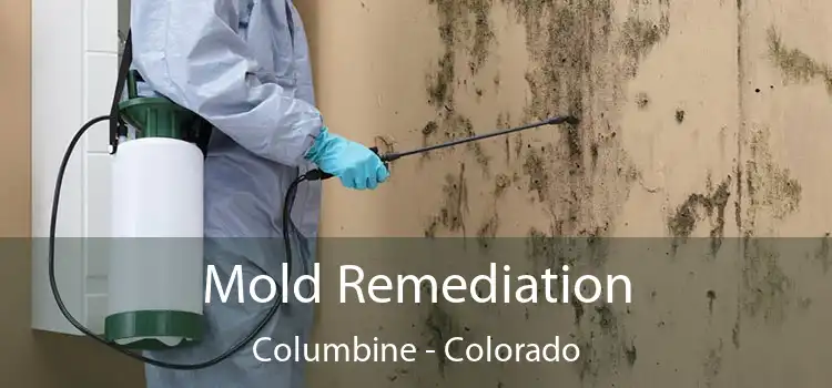 Mold Remediation Columbine - Colorado