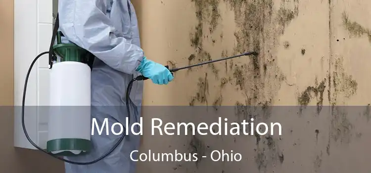 Mold Remediation Columbus - Ohio