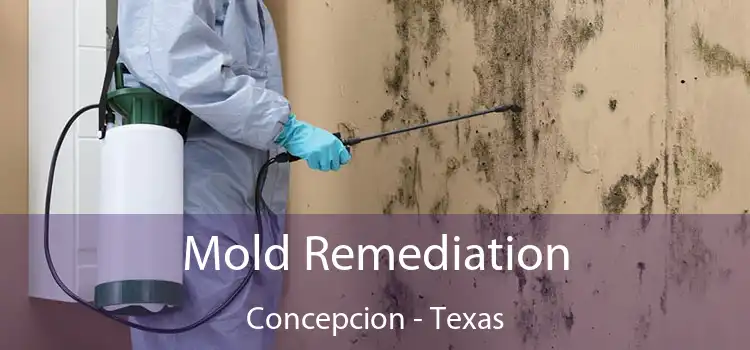 Mold Remediation Concepcion - Texas