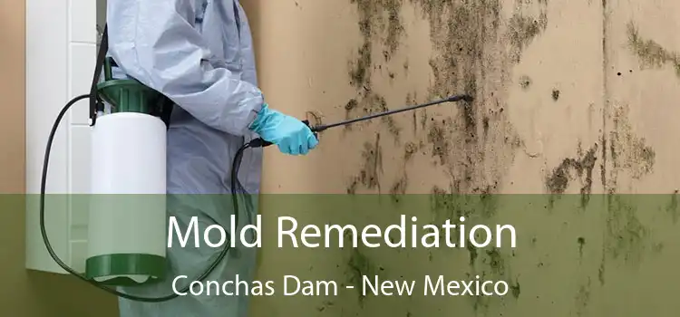 Mold Remediation Conchas Dam - New Mexico