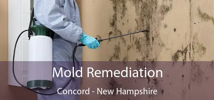 Mold Remediation Concord - New Hampshire