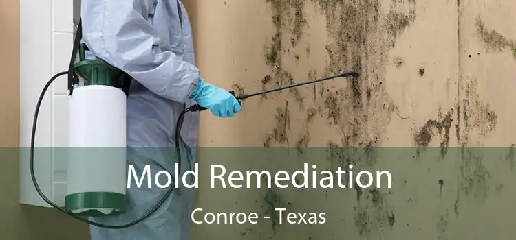 Mold Remediation Conroe - Texas