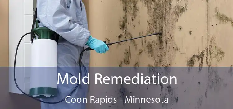 Mold Remediation Coon Rapids - Minnesota