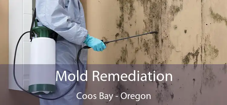 Mold Remediation Coos Bay - Oregon