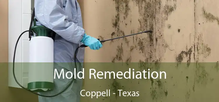 Mold Remediation Coppell - Texas