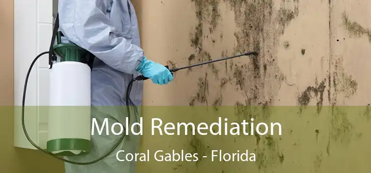 Mold Remediation Coral Gables - Florida