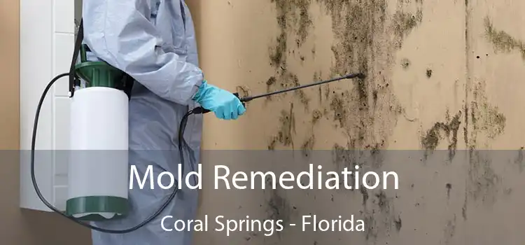 Mold Remediation Coral Springs - Florida