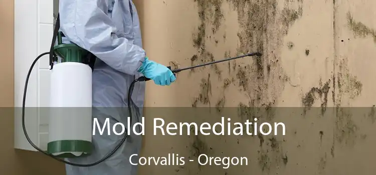 Mold Remediation Corvallis - Oregon