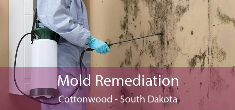 Mold Remediation Cottonwood - South Dakota