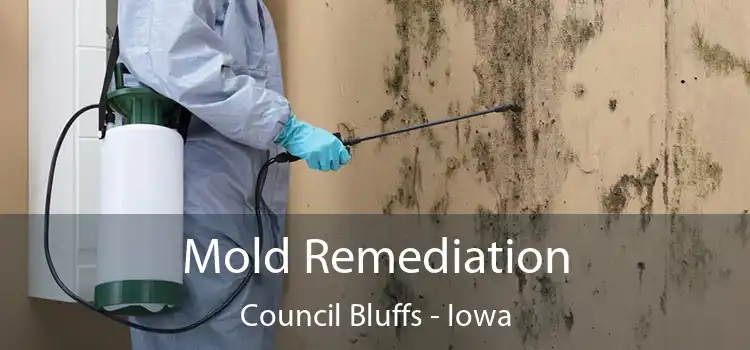 Mold Remediation Council Bluffs - Iowa