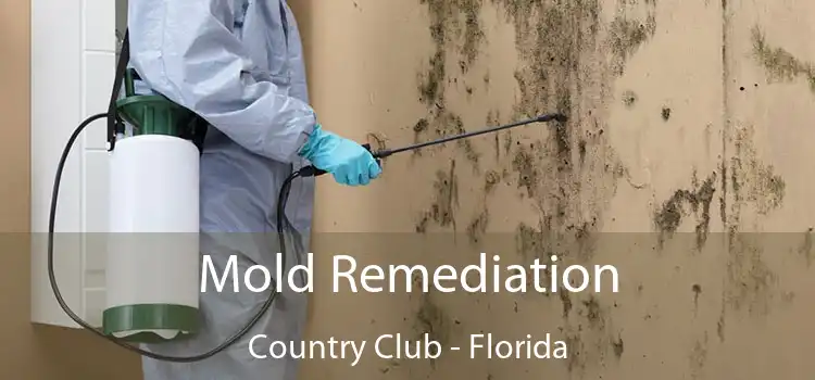 Mold Remediation Country Club - Florida