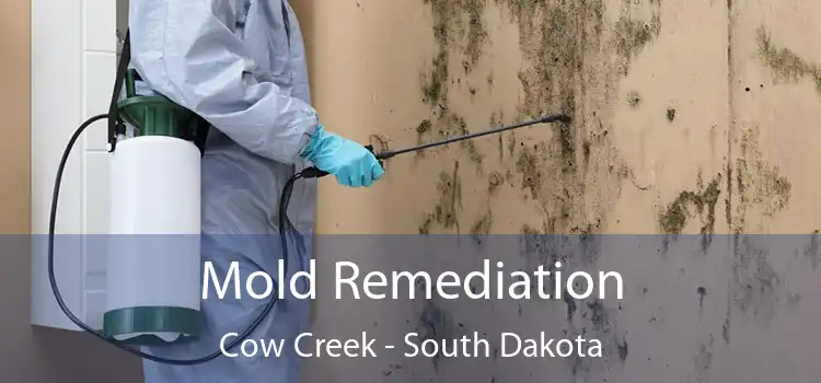 Mold Remediation Cow Creek - South Dakota