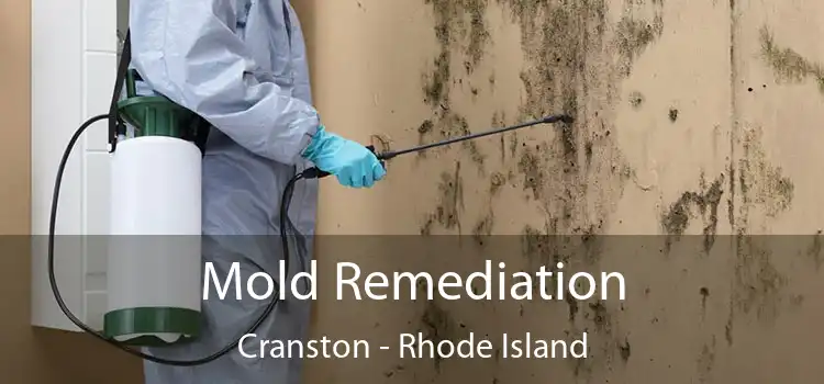 Mold Remediation Cranston - Rhode Island