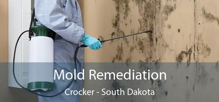 Mold Remediation Crocker - South Dakota