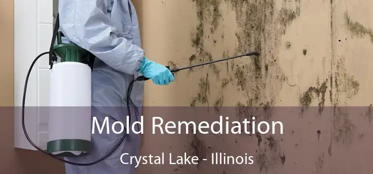 Mold Remediation Crystal Lake - Illinois