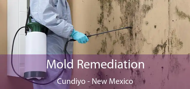 Mold Remediation Cundiyo - New Mexico