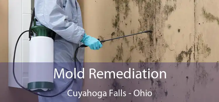 Mold Remediation Cuyahoga Falls - Ohio