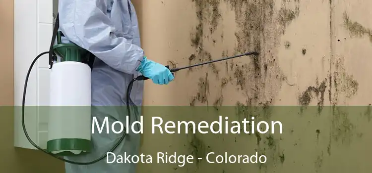 Mold Remediation Dakota Ridge - Colorado