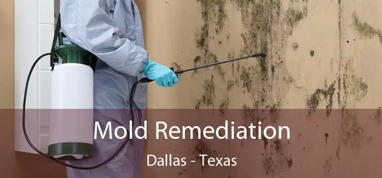 Mold Remediation Dallas - Texas