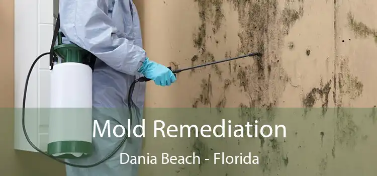 Mold Remediation Dania Beach - Florida