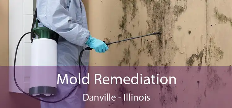 Mold Remediation Danville - Illinois