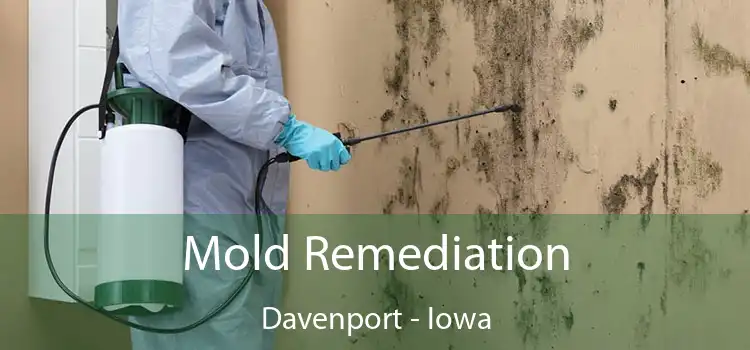 Mold Remediation Davenport - Iowa