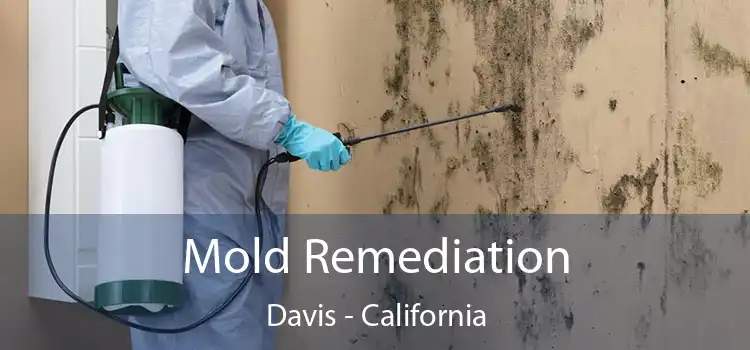 Mold Remediation Davis - California