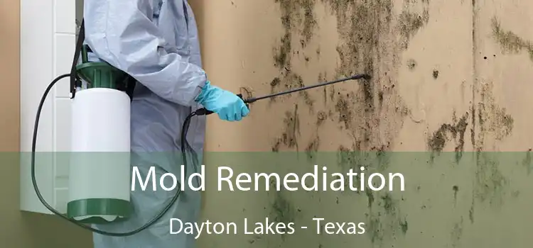 Mold Remediation Dayton Lakes - Texas