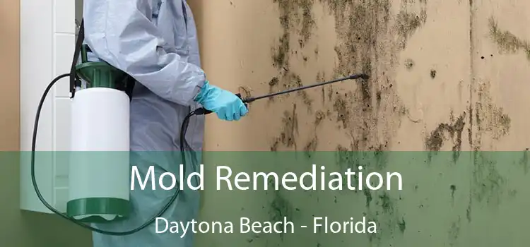 Mold Remediation Daytona Beach - Florida