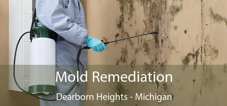 Mold Remediation Dearborn Heights - Michigan