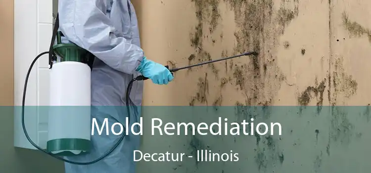 Mold Remediation Decatur - Illinois