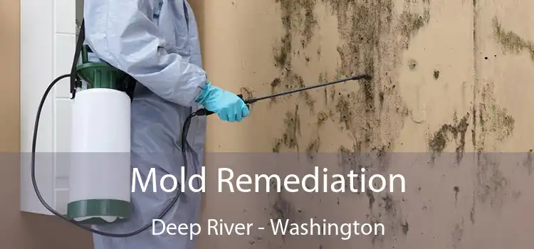 Mold Remediation Deep River - Washington