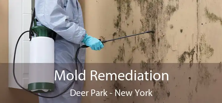 Mold Remediation Deer Park - New York