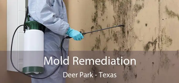 Mold Remediation Deer Park - Texas