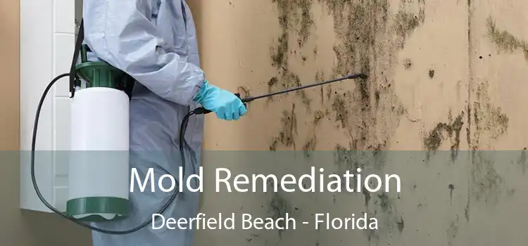 Mold Remediation Deerfield Beach - Florida