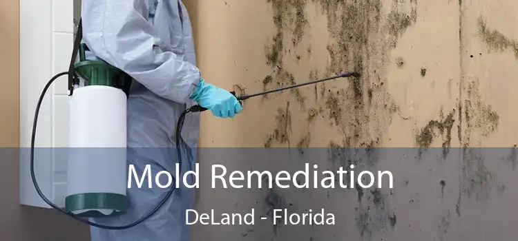 Mold Remediation DeLand - Florida