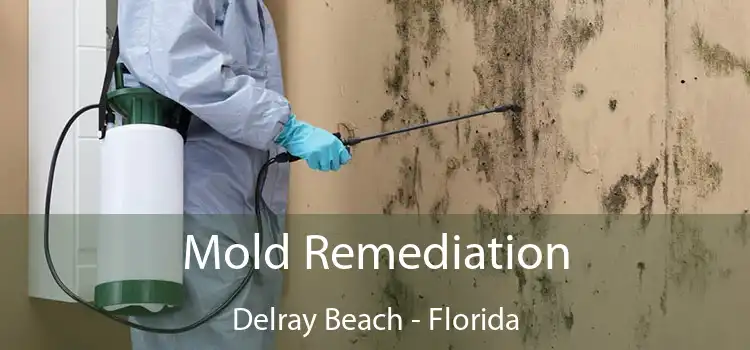 Mold Remediation Delray Beach - Florida