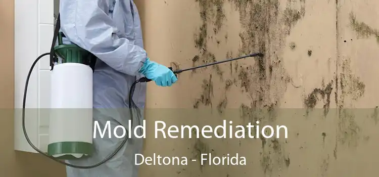 Mold Remediation Deltona - Florida