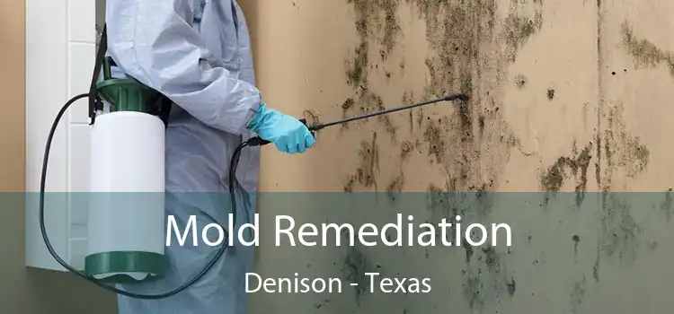 Mold Remediation Denison - Texas