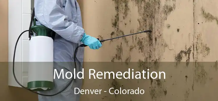 Mold Remediation Denver - Colorado