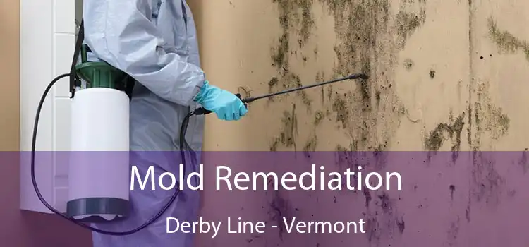 Mold Remediation Derby Line - Vermont