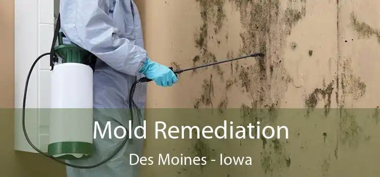 Mold Remediation Des Moines - Iowa