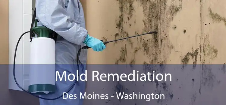 Mold Remediation Des Moines - Washington