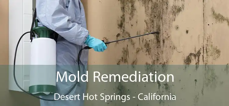 Mold Remediation Desert Hot Springs - California