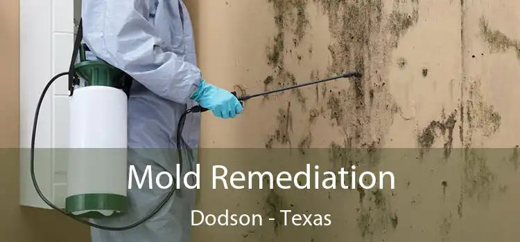 Mold Remediation Dodson - Texas