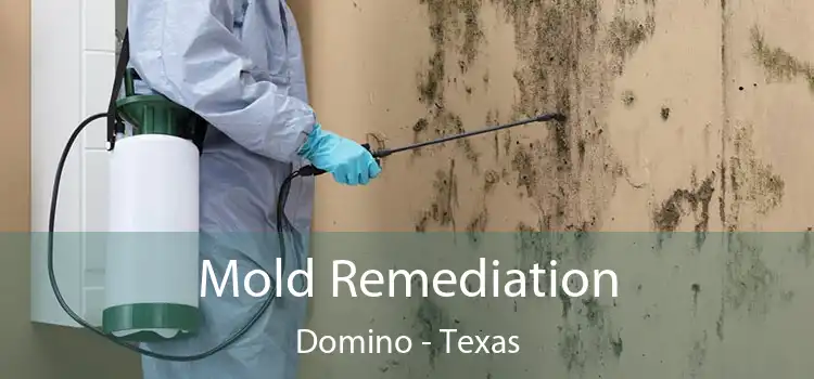 Mold Remediation Domino - Texas