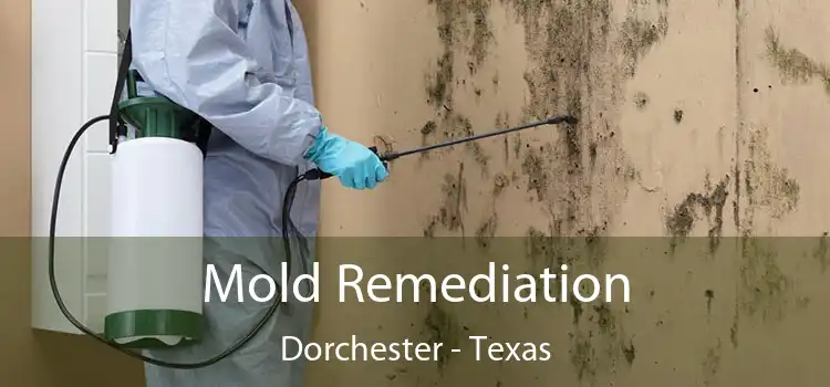 Mold Remediation Dorchester - Texas