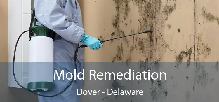 Mold Remediation Dover - Delaware