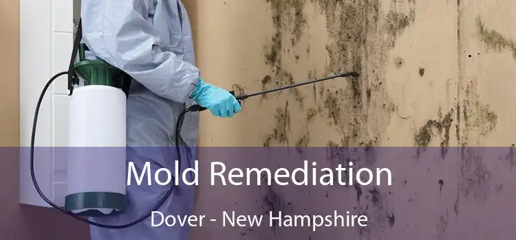 Mold Remediation Dover - New Hampshire