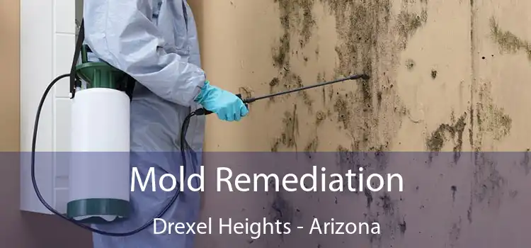 Mold Remediation Drexel Heights - Arizona